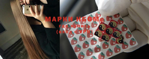 гидра Абаза