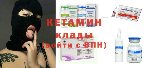 гидра Абаза