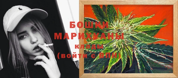 гидра Абаза