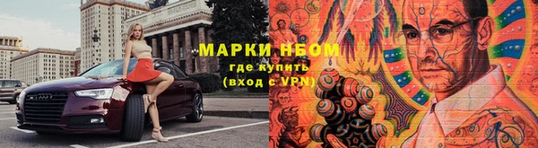 гидра Абаза